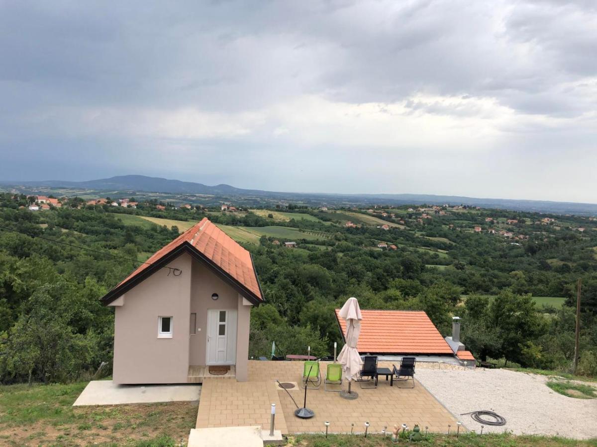 Vila Pogled Arandelovac Exterior photo