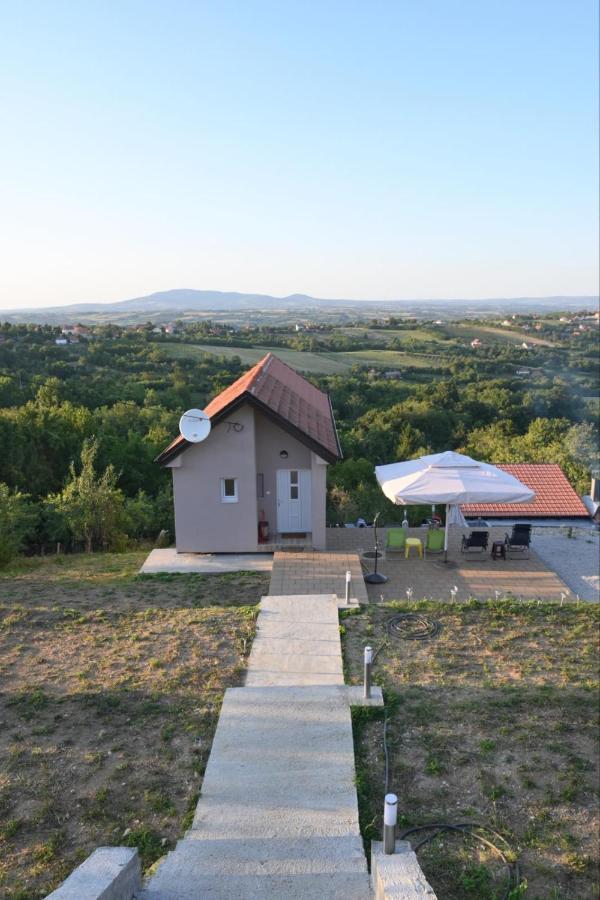 Vila Pogled Arandelovac Exterior photo